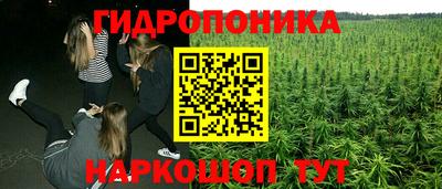 Альфа ПВП Беслан