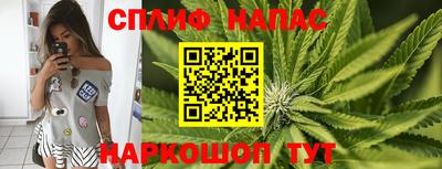 мяу мяу мука Бийск