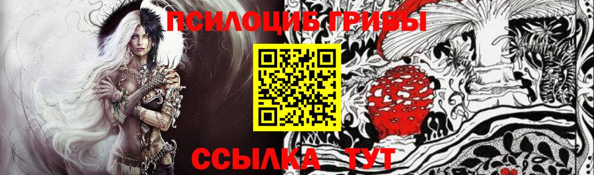 Галлюциногенные грибы Psilocybine cubensis  Каменка 