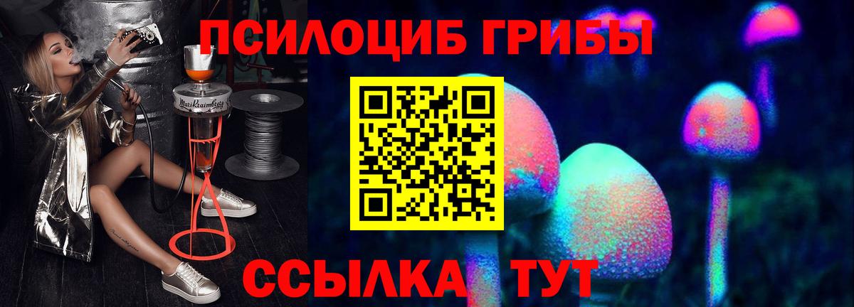Каменка  Галлюциногенные грибы мицелий  Вход с VPN  Псилоцибиновые грибы Psilocybine cubensis 