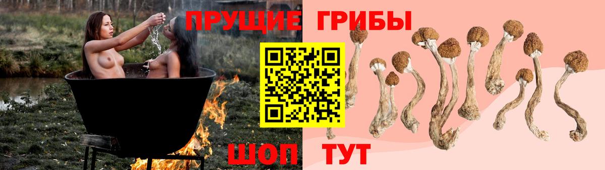 Псилоцибиновые грибы Magic Shrooms Каменка