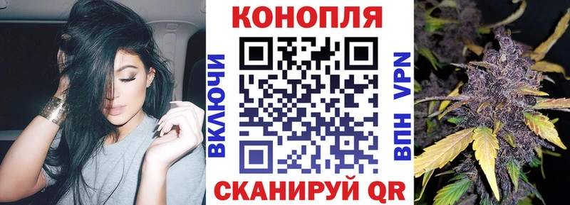МАРИХУАНА OG Kush Каменка